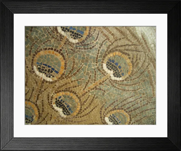 Framed Print : Mosaic, El Jem Museum, El Djem, Tunisia, 2009. Creator: Amanda Waite Framed Print : Mosaic, El Jem Museum, El Djem, Tunisia, 2009. Creator: Amanda Waite