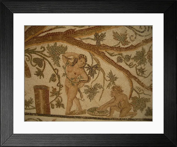 Framed Print : Mosaic, El Jem Museum, El Djem, Tunisia, 2009. Creator: Amanda Waite Framed Print : Mosaic, El Jem Museum, El Djem, Tunisia, 2009. Creator: Amanda Waite