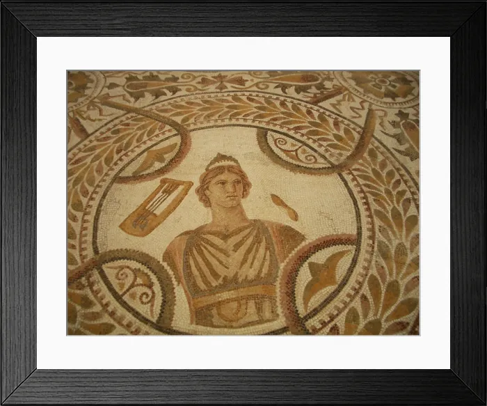Framed Print : Mosaic, El Jem Museum, El Djem, Tunisia, 2009. Creator: Amanda Waite Framed Print : Mosaic, El Jem Museum, El Djem, Tunisia, 2009. Creator: Amanda Waite