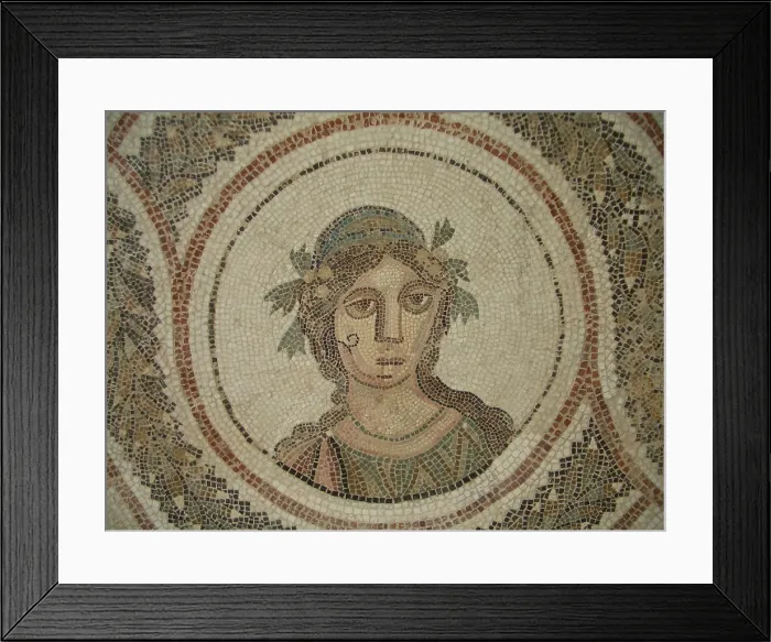 Framed Print : Mosaic, El Jem Museum, El Djem, Tunisia, 2009. Creator: Amanda Waite