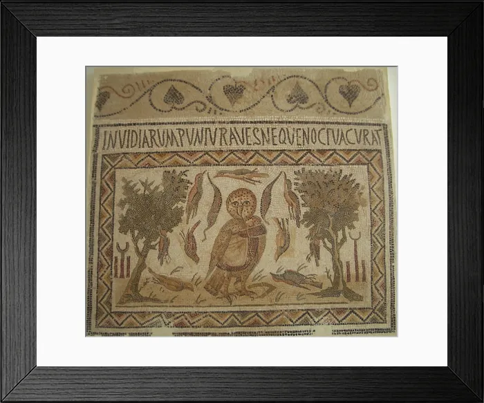 Framed Print : Mosaic, El Jem Museum, El Djem, Tunisia, 2009. Creator: Amanda Waite Framed Print : Mosaic, El Jem Museum, El Djem, Tunisia, 2009. Creator: Amanda Waite