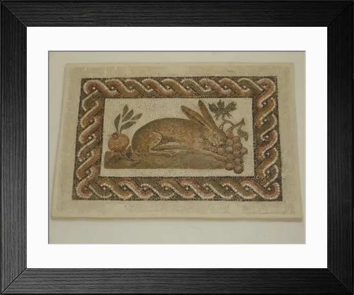 Framed Print : Mosaic, El Jem Museum, El Djem, Tunisia, 2009. Creator: Amanda Waite Framed Print : Mosaic, El Jem Museum, El Djem, Tunisia, 2009. Creator: Amanda Waite