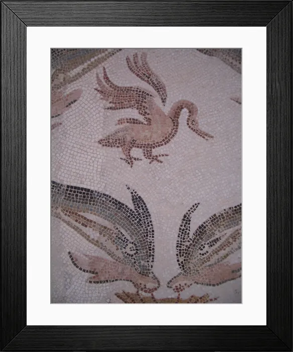 Framed Print : Mosaic, El Jem Museum, El Djem, Tunisia, 2009. Creator: Amanda Waite Framed Print : Mosaic, El Jem Museum, El Djem, Tunisia, 2009. Creator: Amanda Waite