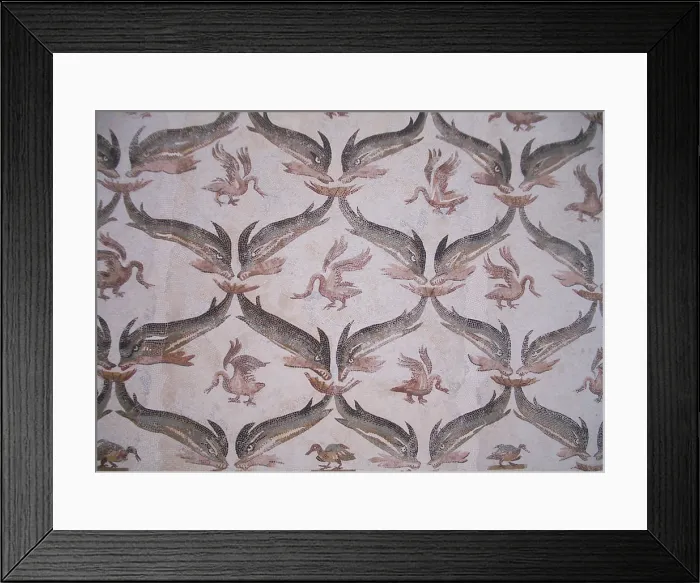 Framed Print : Mosaic, El Jem Museum, El Djem, Tunisia, 2009. Creator: Amanda Waite Framed Print : Mosaic, El Jem Museum, El Djem, Tunisia, 2009. Creator: Amanda Waite
