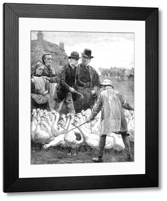 Framed Print : The Goose Club Committee - drawn by A. E. Emslie, 1881. Creator: Eugene Froment Framed Print : The Goose Club Committee - drawn by A. E. Emslie, 1881. Creator: Eugene Froment