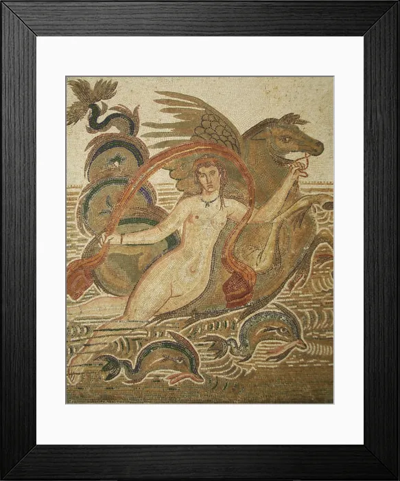 Framed Print : Mosaic, El Jem Museum, El Djem, Tunisia, 2009. Creator: Amanda Waite Framed Print : Mosaic, El Jem Museum, El Djem, Tunisia, 2009. Creator: Amanda Waite