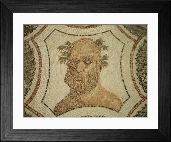 Framed Print : Mosaic, El Jem Museum, El Djem, Tunisia, 2009. Creator: Amanda Waite
