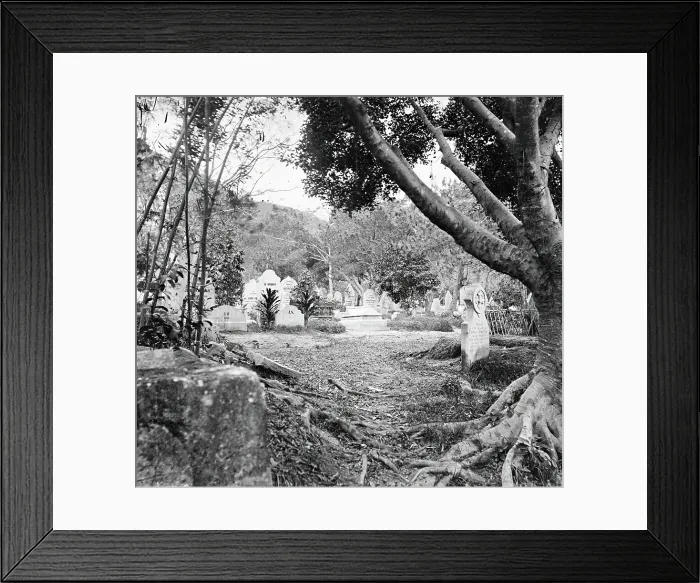 Framed Print : Cemetery, Happy Valley, Hong Kong, 1868 / 1871. Creator: John Thomson Framed Print : Cemetery, Happy Valley, Hong Kong, 1868 / 1871. Creator: John Thomson
