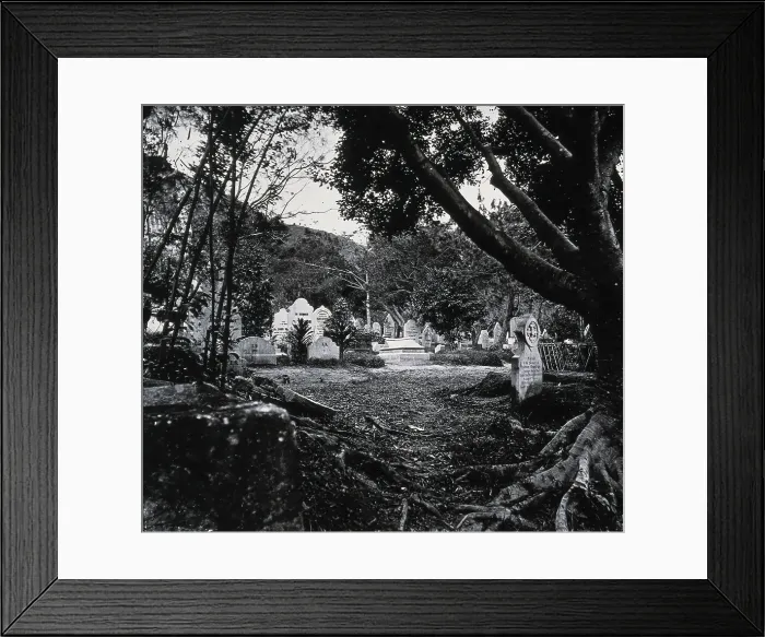 Framed Print : Cemetery, Happy Valley, Hong Kong, 1981 (from a negative of 1868 / 1871). Creator: John Thomson