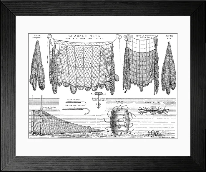 Framed Print : The International Fisheries Exhibition: salmon-poaching implements: Mr. Ffennell's Collection, 1883 Framed Print : The International Fisheries Exhibition: salmon-poaching implements: Mr. Ffennell's Collection, 1883