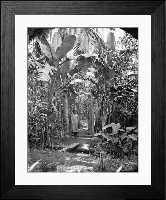Framed Print : Annam, Cochin China (Vietnam), 1867. Creator: John Thomson Framed Print : Annam, Cochin China (Vietnam), 1867. Creator: John Thomson