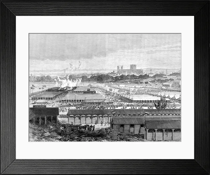 Framed Print : The Royal Agricultural Society at York: general view of the show-yard, 1883. Creator: Unknown Framed Print : The Royal Agricultural Society at York: general view of the show-yard, 1883. Creator: Unknown
