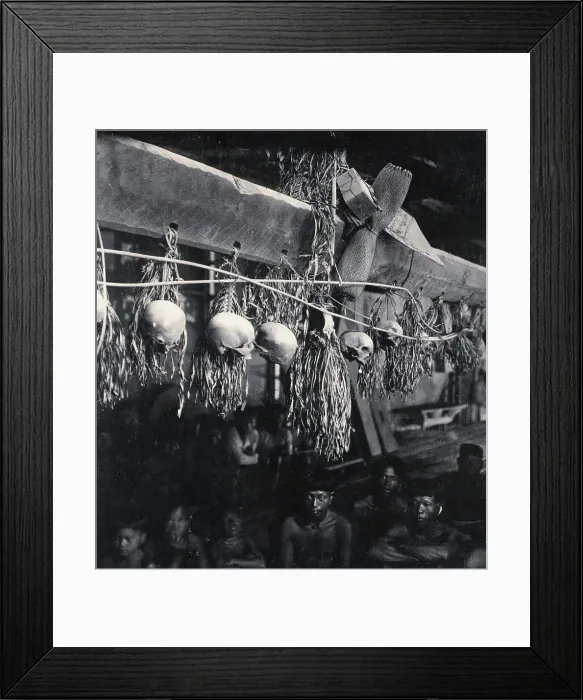 Framed Print : Sarawak: decorated human skulls hanging in a Kayan house, c1900. Creator: Unknown Framed Print : Sarawak: decorated human skulls hanging in a Kayan house, c1900. Creator: Unknown
