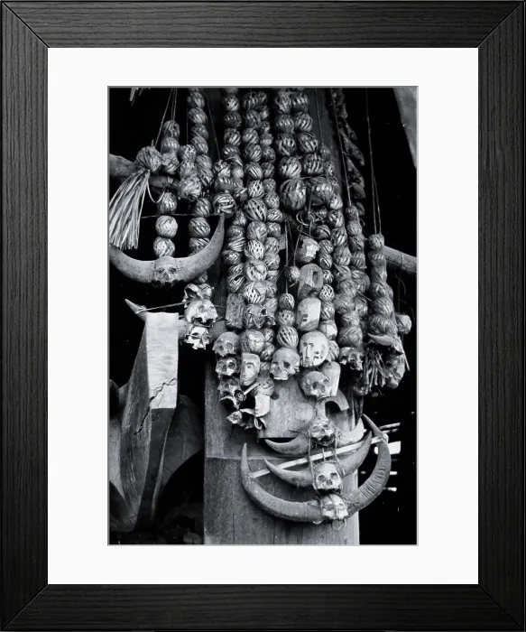 Framed Print : Trophies of a headhunter's house of the Chang Naga tribe, India, ... c1930s. Creator: Unknown. Trophies of a headhunter's house of the Chang Naga tribe, India, ... c1930s Framed Print : Trophies of a headhunter's house of the Chang Naga tribe, India, ... c1930s. Creator: Unknown. Trophies of a headhunter's house of the Chang Naga tribe, India, ... c1930s
