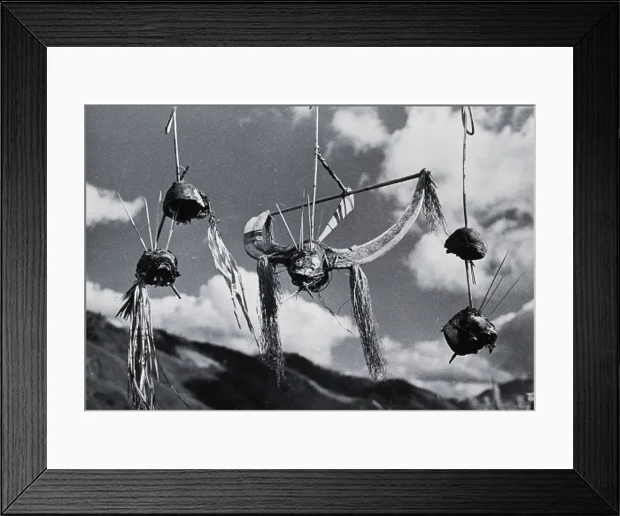 Framed Print : Kalyo Kengyu, northern India: human heads hung up as trophies in a Naga village, c1930s. Creator: Unknown Framed Print : Kalyo Kengyu, northern India: human heads hung up as trophies in a Naga village, c1930s. Creator: Unknown