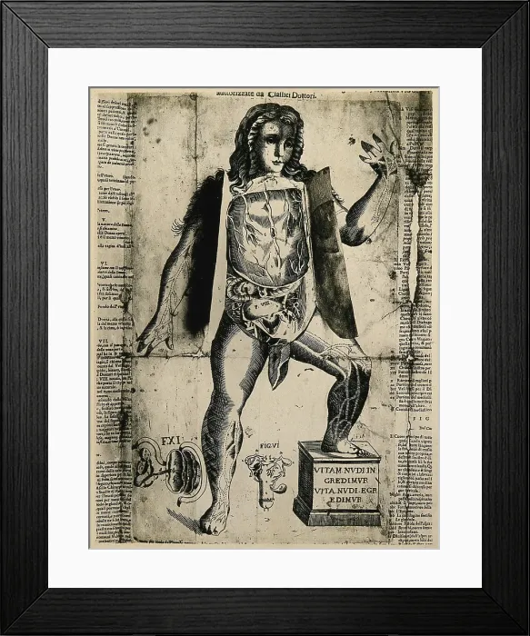 Framed Print : A female flap anatomy fugitive sheet, with layered flaps lifted to reveal the anatomy of the... Creator: Unknown Framed Print : A female flap anatomy fugitive sheet, with layered flaps lifted to reveal the anatomy of the... Creator: Unknown