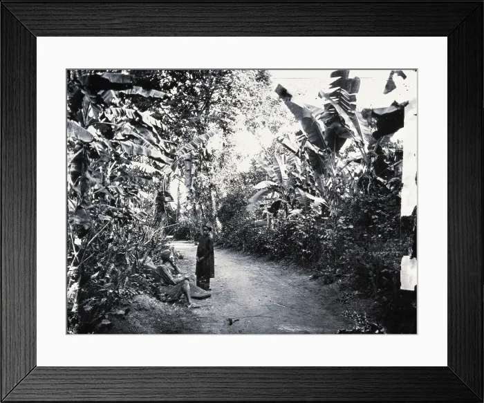 Framed Print : Cochin China [Vietnam], 1867, (1981). Creator: Unknown