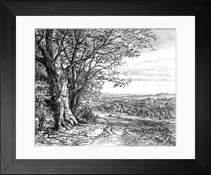 Framed Print : Autumn from Bramble Hill: from 'Autumnal Leaves' (Sketches in the New Forest), 1881. Creator: James Davis Cooper