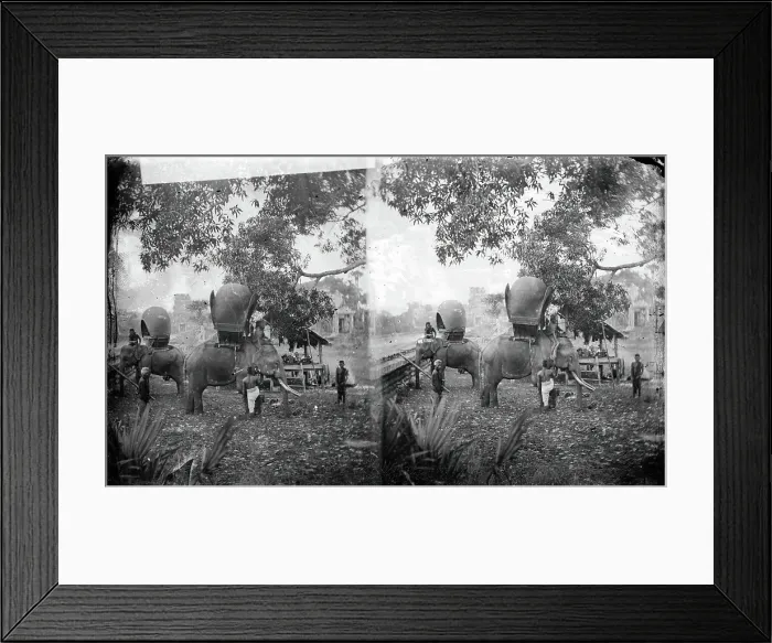 Framed Print : Cambodia: elephants outside Angkor Wat, 1865. Creator: John Thomson Framed Print : Cambodia: elephants outside Angkor Wat, 1865. Creator: John Thomson