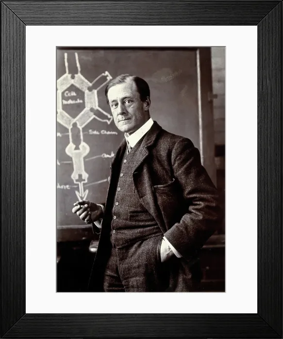 Framed Print : Louis Cobbett, 1907. Creator: Unknown Framed Print : Louis Cobbett, 1907. Creator: Unknown