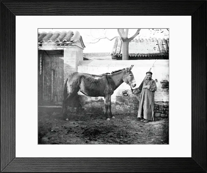 Framed Print : China: an old Mongol woman with her horse, Beijing, 1871. Creator: John Thomson Framed Print : China: an old Mongol woman with her horse, Beijing, 1871. Creator: John Thomson