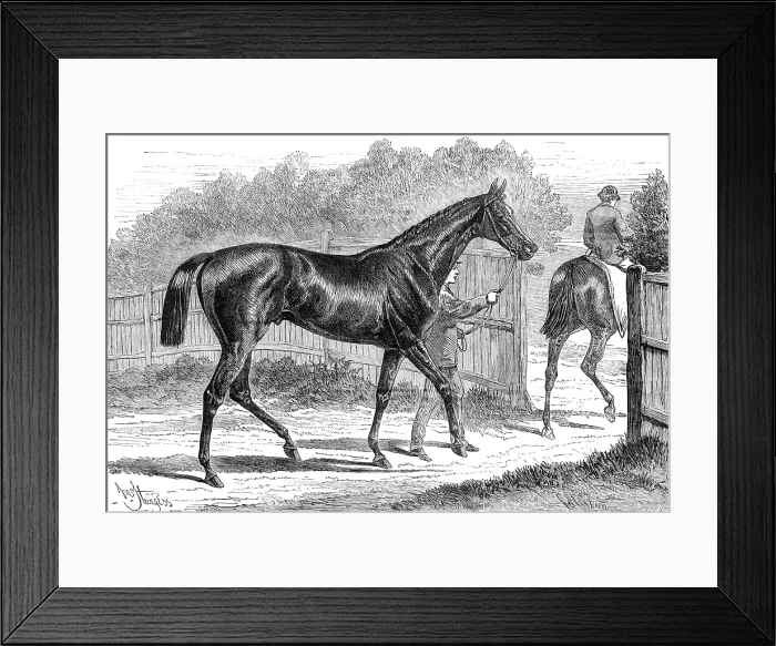 Framed Print : Iroquois, the winner of the Derby, 1881. Creator: Crane Framed Print : Iroquois, the winner of the Derby, 1881. Creator: Crane
