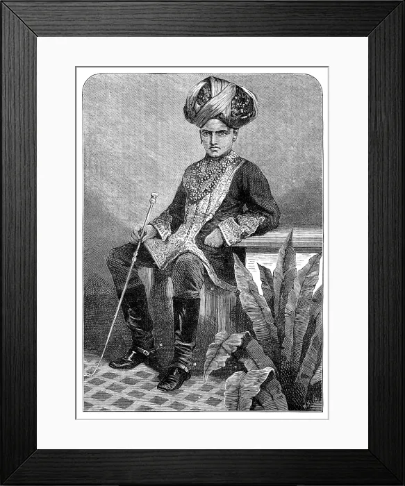 Framed Print : The Maharajah of Mysore in his childhood, 1881. Creator: Unknown Framed Print : The Maharajah of Mysore in his childhood, 1881. Creator: Unknown