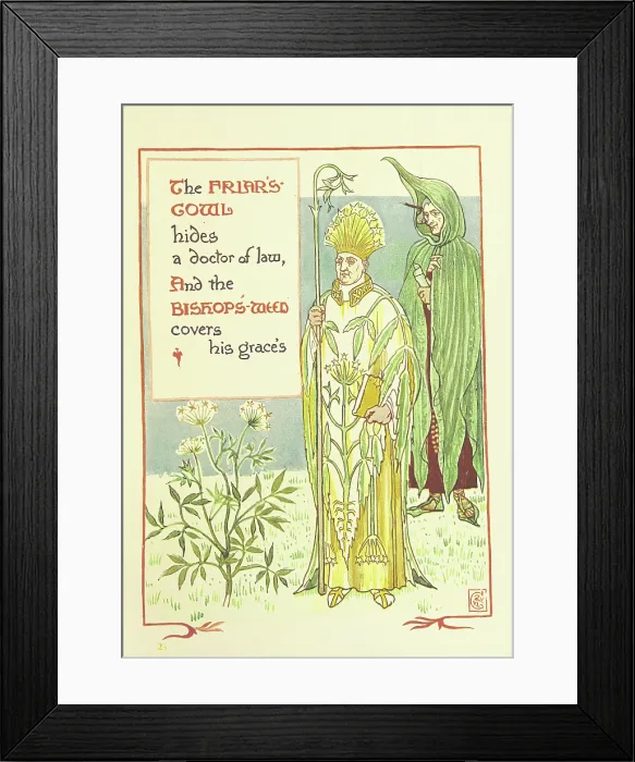 Framed Print : The Friar's Cowl hides a doctor of law, And the Bishop's-Weed covers his grace's, 1899 Framed Print : The Friar's Cowl hides a doctor of law, And the Bishop's-Weed covers his grace's, 1899