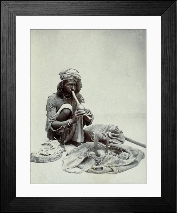 Framed Print : An Indian snake charmer squatting down playing his pipe, with two cobras in a basket in... c1900. Creator: Unknown Framed Print : An Indian snake charmer squatting down playing his pipe, with two cobras in a basket in... c1900. Creator: Unknown