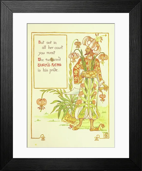 Framed Print : But not in all her court you meet The turbaned Turk's Head in his pride, 1899 Framed Print : But not in all her court you meet The turbaned Turk's Head in his pride, 1899