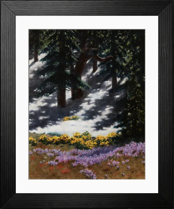 Framed Print : Crocuses and Marsh-Marigolds, July 23, 1907. Creator: Stanislaw Witkiewicz Framed Print : Crocuses and Marsh-Marigolds, July 23, 1907. Creator: Stanislaw Witkiewicz