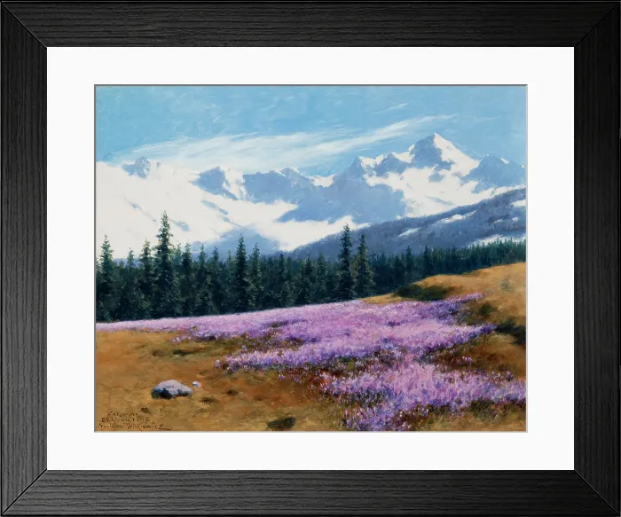 Framed Print : Crocuses with Snowy Mountains Behind, July 29, 1897. Creator: Stanislaw Witkiewicz Framed Print : Crocuses with Snowy Mountains Behind, July 29, 1897. Creator: Stanislaw Witkiewicz