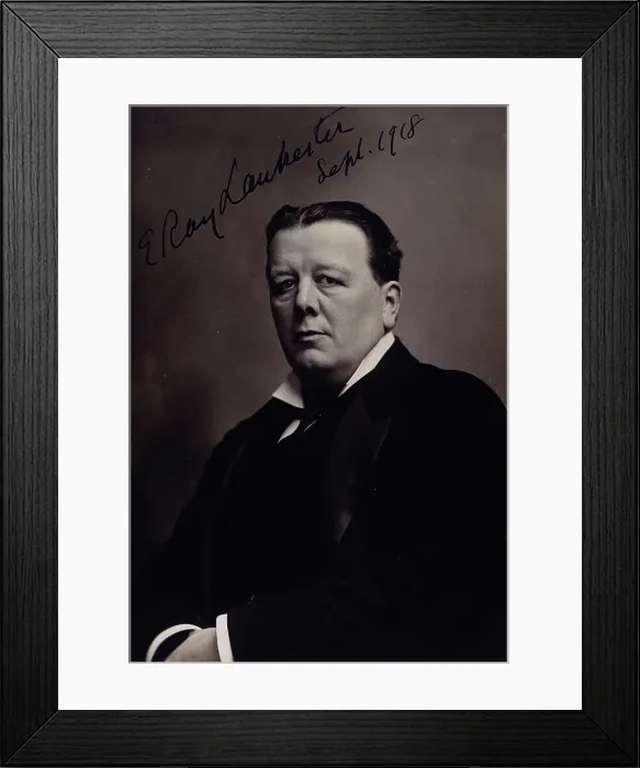 Framed Print : Sir Edwin Ray Lankester, 1918. Creator: Elliott & Fry Framed Print : Sir Edwin Ray Lankester, 1918. Creator: Elliott & Fry