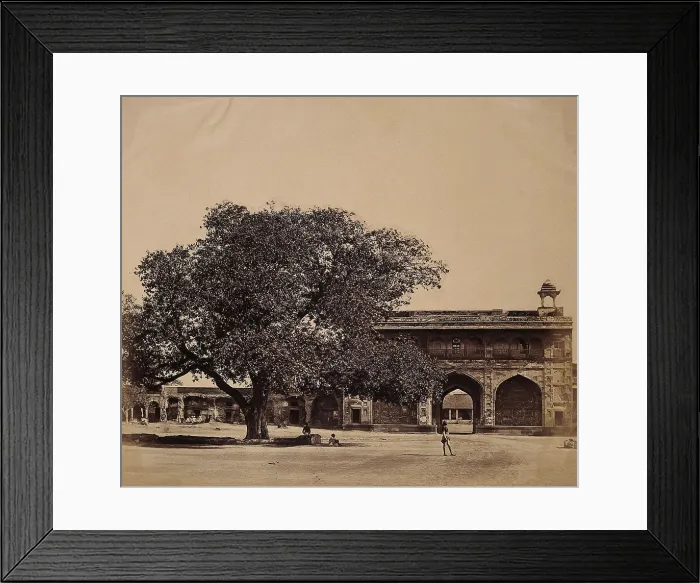 Framed Print : India: a tree in the grounds of a palace under which three hundred Europeans were murdered, c1858. Creator: Felice Beato Framed Print : India: a tree in the grounds of a palace under which three hundred Europeans were murdered, c1858. Creator: Felice Beato