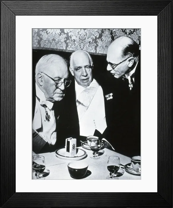 Framed Print : Sir Henry Hallett Dale, Niels Bohr and Sir Michael Perrin, 1956. Creator: Unknown Framed Print : Sir Henry Hallett Dale, Niels Bohr and Sir Michael Perrin, 1956. Creator: Unknown