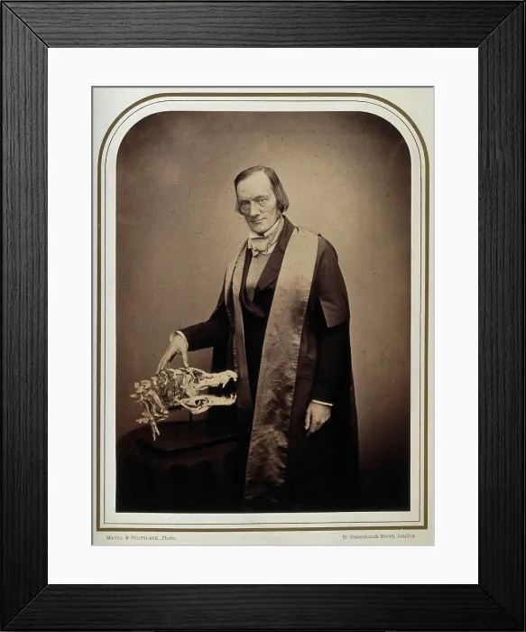 Framed Print : Sir Richard Owen. Creator: Maull & Polyblank Framed Print : Sir Richard Owen. Creator: Maull & Polyblank