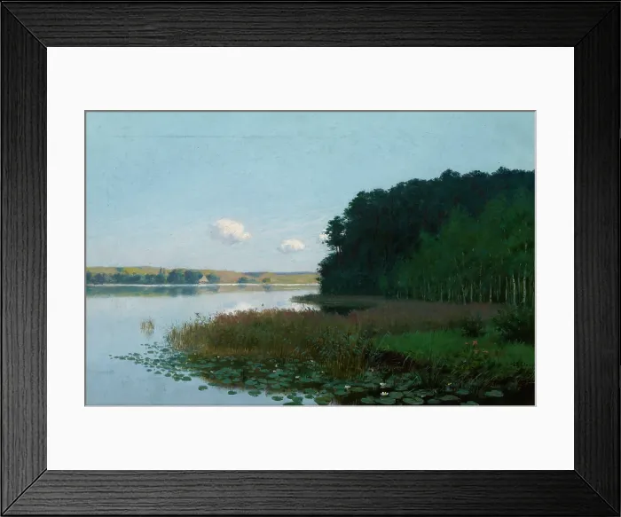 Framed Print : Lake with Water-Lilies, 1901. Creator: Stanislaw Witkiewicz Framed Print : Lake with Water-Lilies, 1901. Creator: Stanislaw Witkiewicz