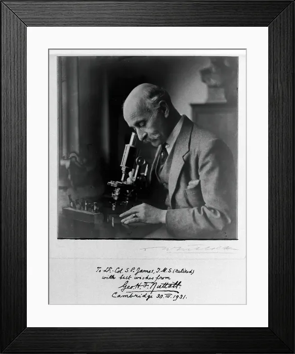 Framed Print : George Henry Falkiner Nuttall, 1931. Creator: T Whitlock Framed Print : George Henry Falkiner Nuttall, 1931. Creator: T Whitlock