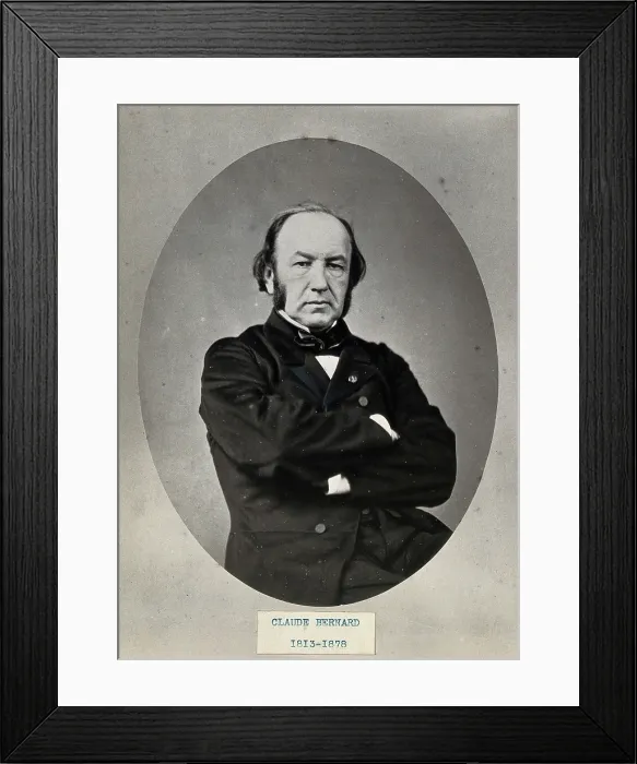 Framed Print : Claude Bernard. Creator: Unknown Framed Print : Claude Bernard. Creator: Unknown