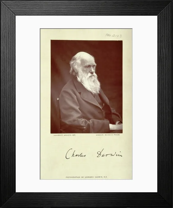 Framed Print : Charles Robert Darwin. Creator: Leonard Darwin Framed Print : Charles Robert Darwin. Creator: Leonard Darwin