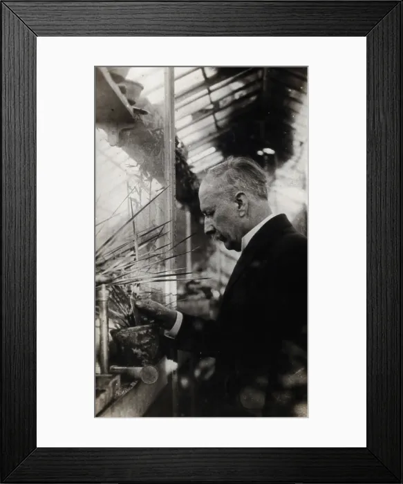 Framed Print : Daniel Berthelot. Creator: Unknown