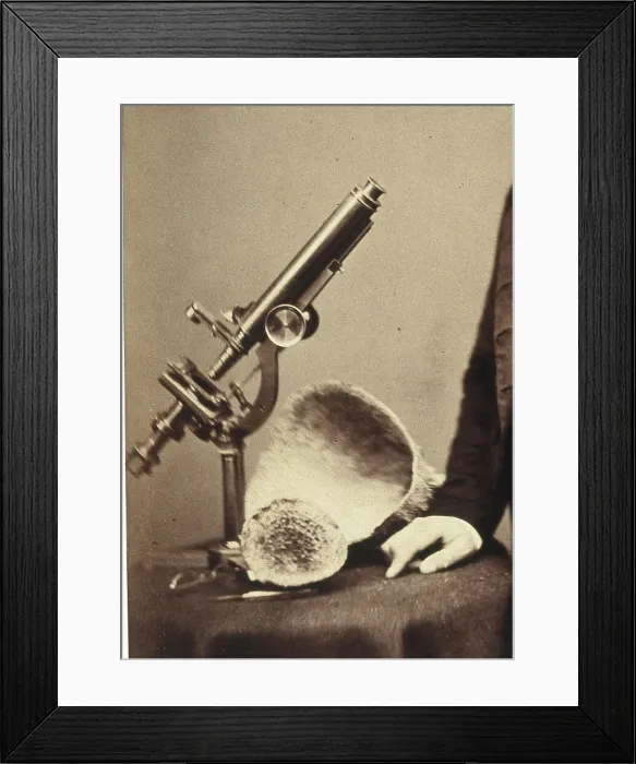 Framed Print : James Scott Bowerbank. Creator: Unknown Framed Print : James Scott Bowerbank. Creator: Unknown
