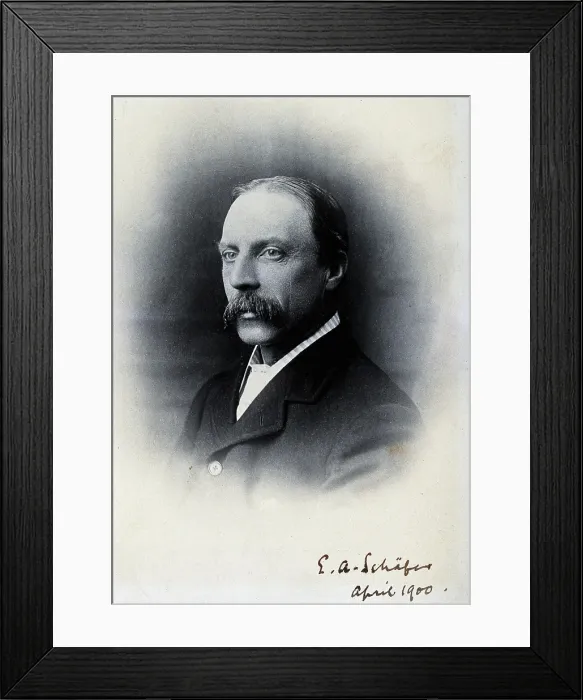 Framed Print : Sir Edward Albert Sharpey-Schafer, 1900. Creator: Unknown Framed Print : Sir Edward Albert Sharpey-Schafer, 1900. Creator: Unknown
