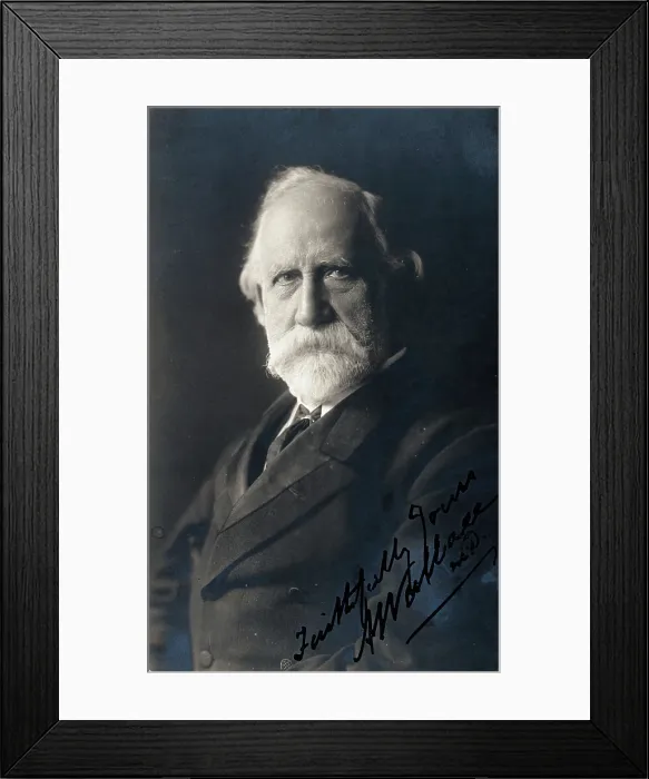 Framed Print : Abraham Wallace. Creator: Unknown Framed Print : Abraham Wallace. Creator: Unknown