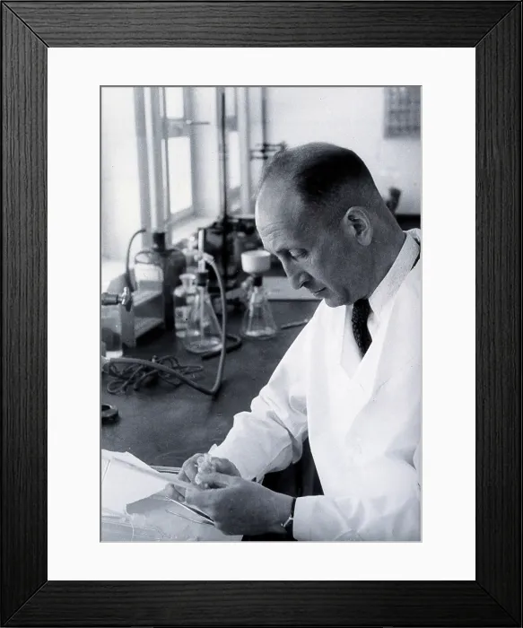 Framed Print : Haim Ernst Wertheimer. Creator: Unknown Framed Print : Haim Ernst Wertheimer. Creator: Unknown