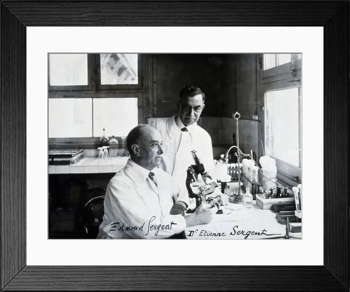Framed Print : Edmond Sergent (sitting) and Etienne Sergent. Creator: Unknown Framed Print : Edmond Sergent (sitting) and Etienne Sergent. Creator: Unknown