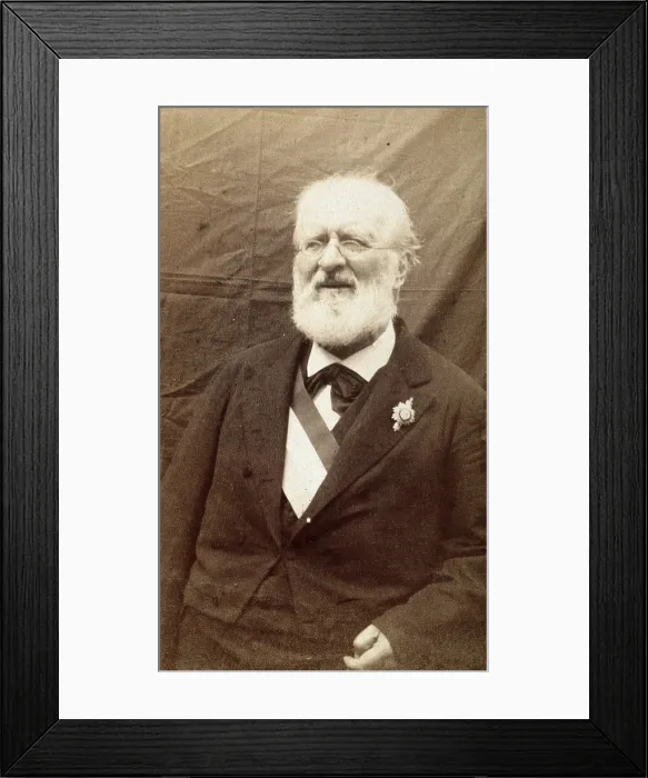 Framed Print : Louis Laurent Gabriel de Mortillet. Creator: Unknown Framed Print : Louis Laurent Gabriel de Mortillet. Creator: Unknown