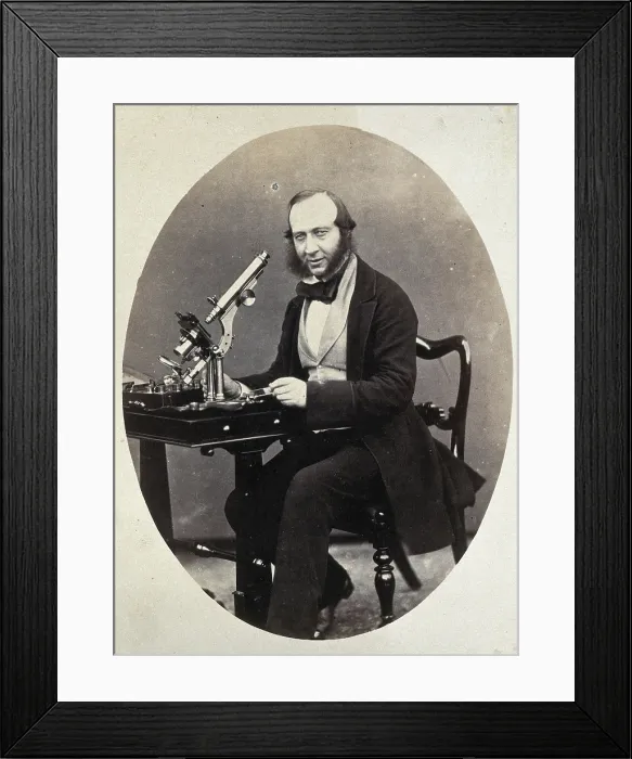 Framed Print : George Shadbolt. Creator: Unknown Framed Print : George Shadbolt. Creator: Unknown