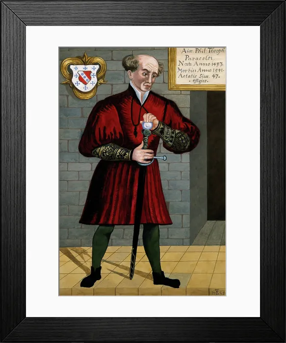 Framed Print : Aureolus Theophrastus Bombastus von Hohenheim [Paracelsus]. Creator: Unknown