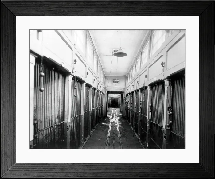 Framed Print : The central corridor of the vivarium (animal house) with cages for the animals, in the... 1904. Creator: Unknown Framed Print : The central corridor of the vivarium (animal house) with cages for the animals, in the... 1904. Creator: Unknown